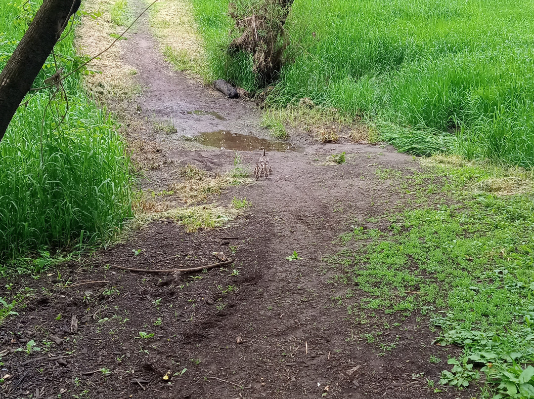 Wallace House Park-Keizer必去景点