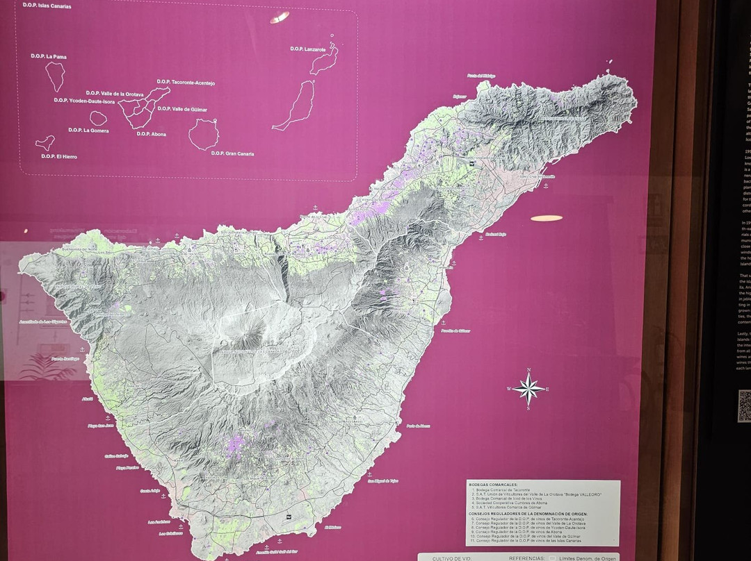 Casa Del Vino de Tenerife-El Sauzal必去景点