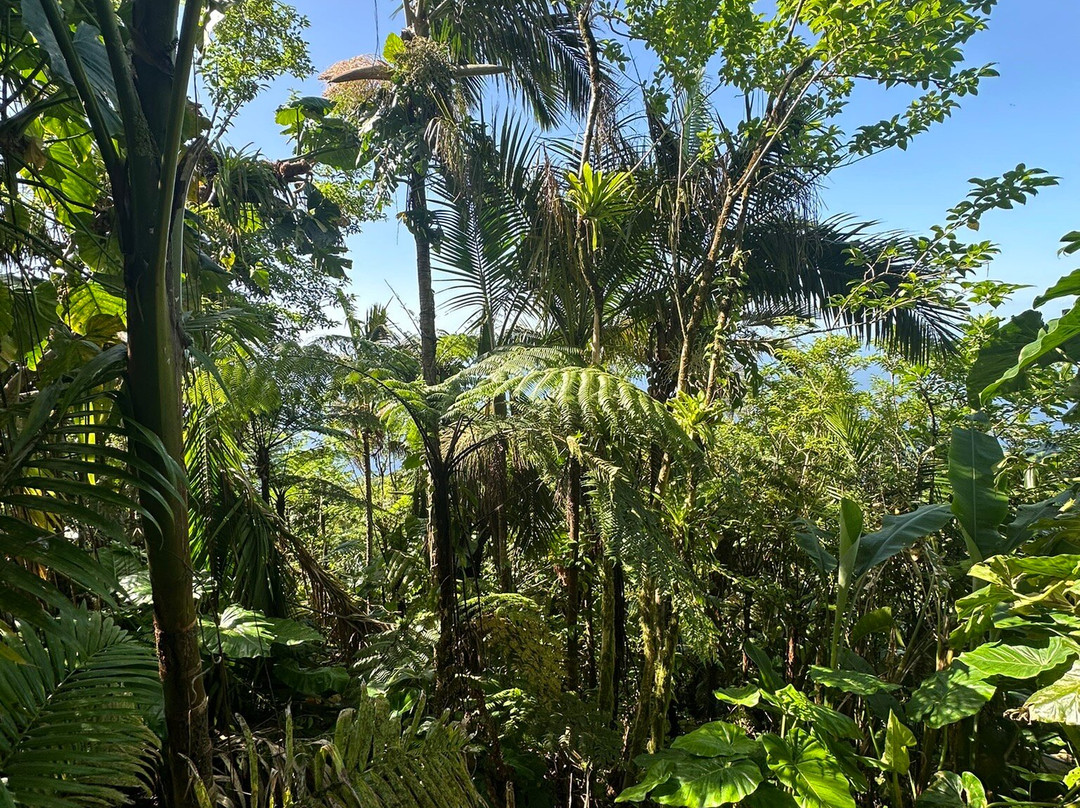 Mount Scenery-Windwardside必去景点