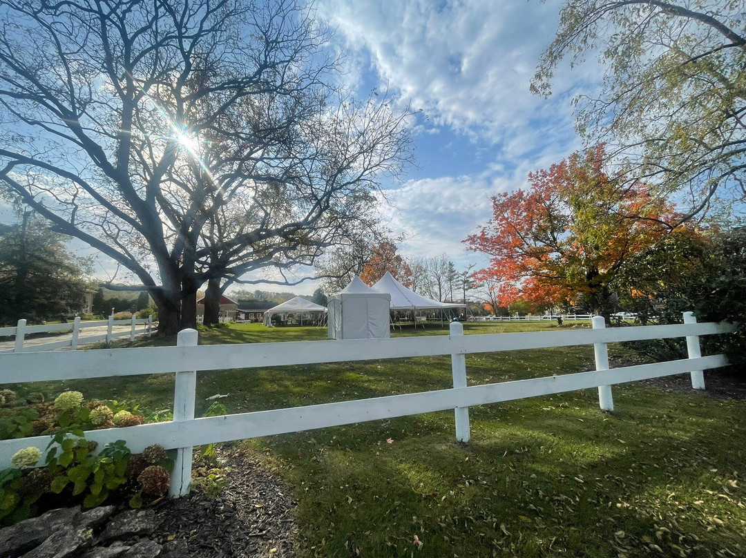 Country Inn & Suites by Radisson, Madison Southwest, WI主图