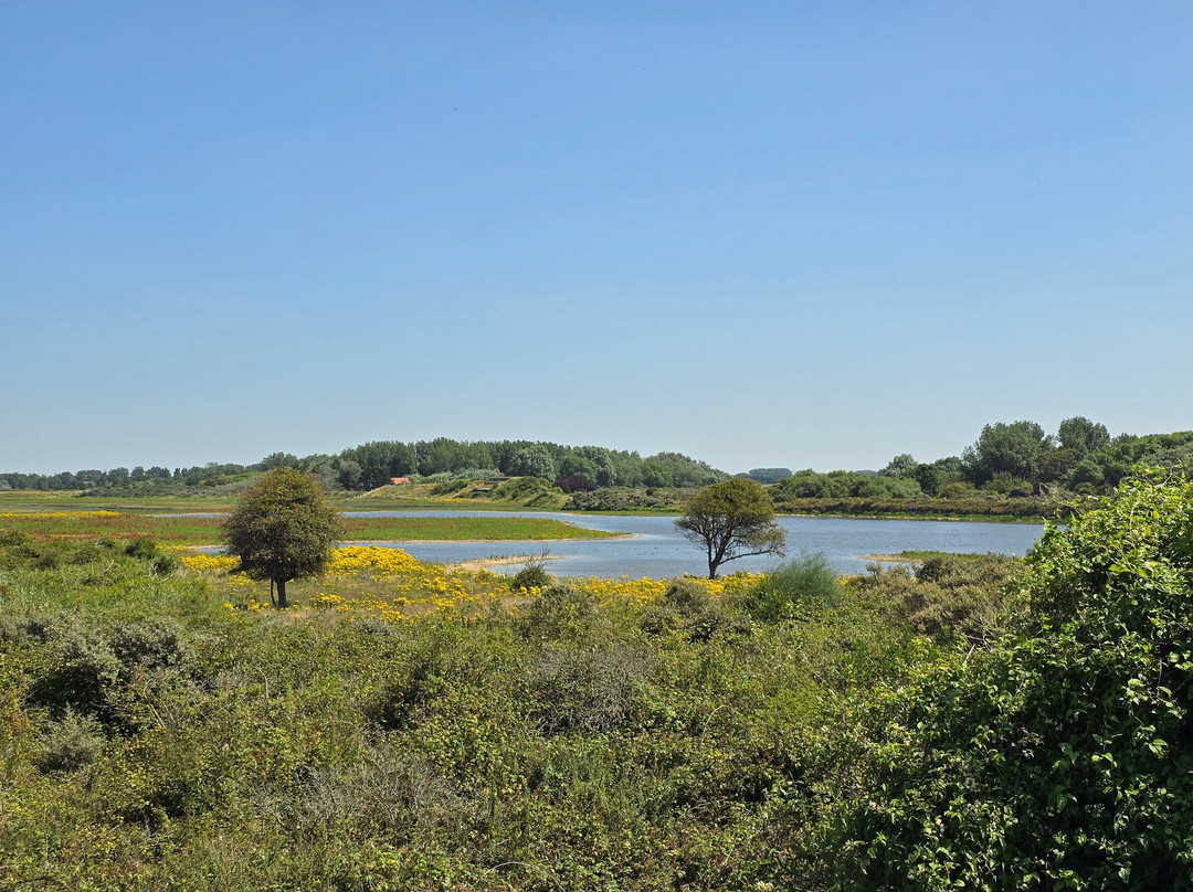 Reserve Naturelle Du Platier D'Oye景点图片