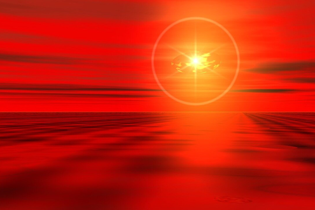 Salt Of The Earth Sanctuary-Woodbury必去景点