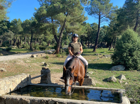 Dreampeaks-马德里必去景点