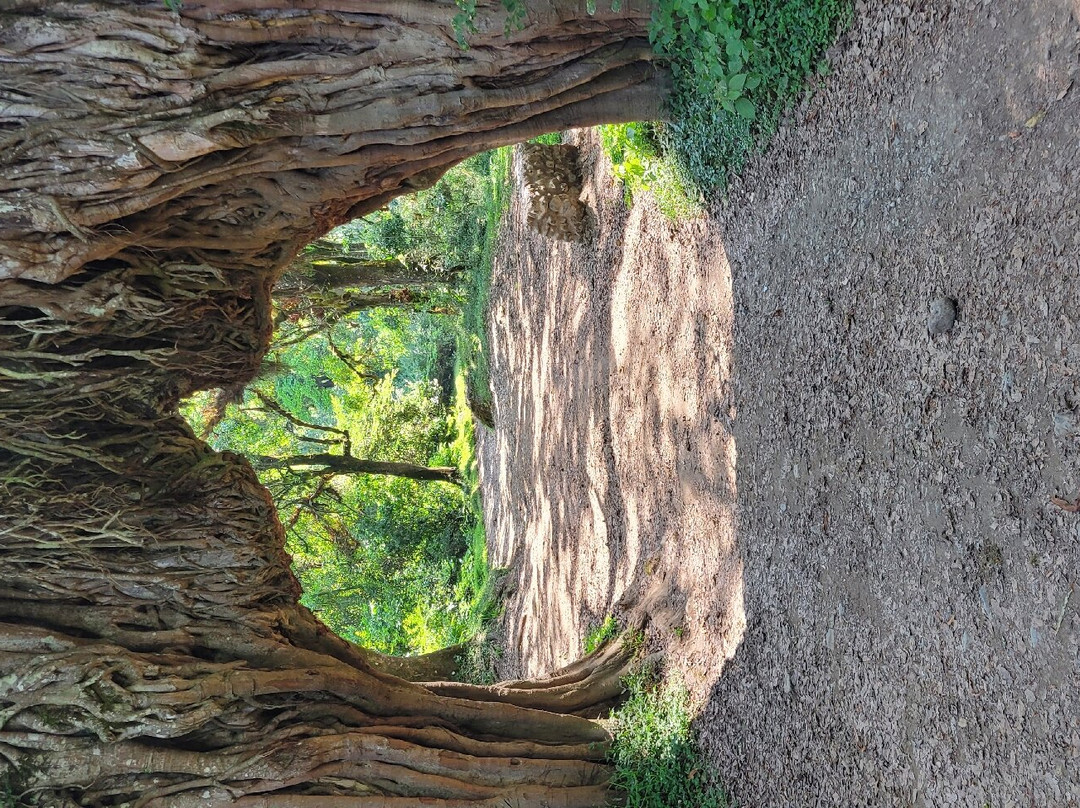 Mountain’s Hug主图