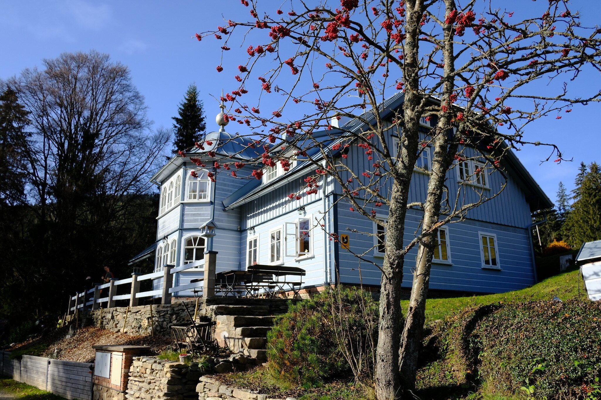 Modry Pavilon-官方