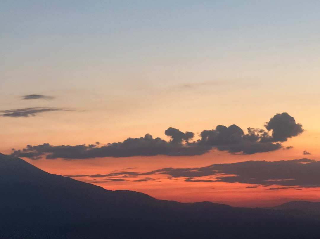 Simba Farm Lodge主图