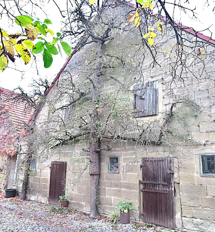 Gasthaus Zum Schwan主图