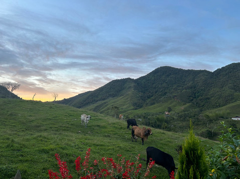 EcoAventuras-Alejandria必去景点