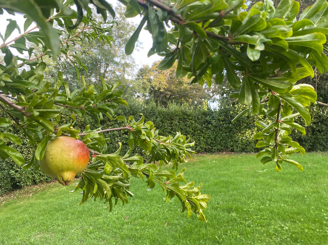 Park Hotel Chianti主图