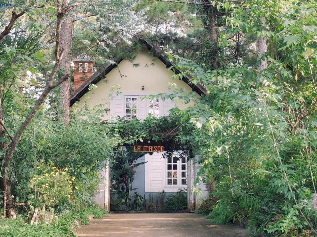 芒登大厦家庭旅馆