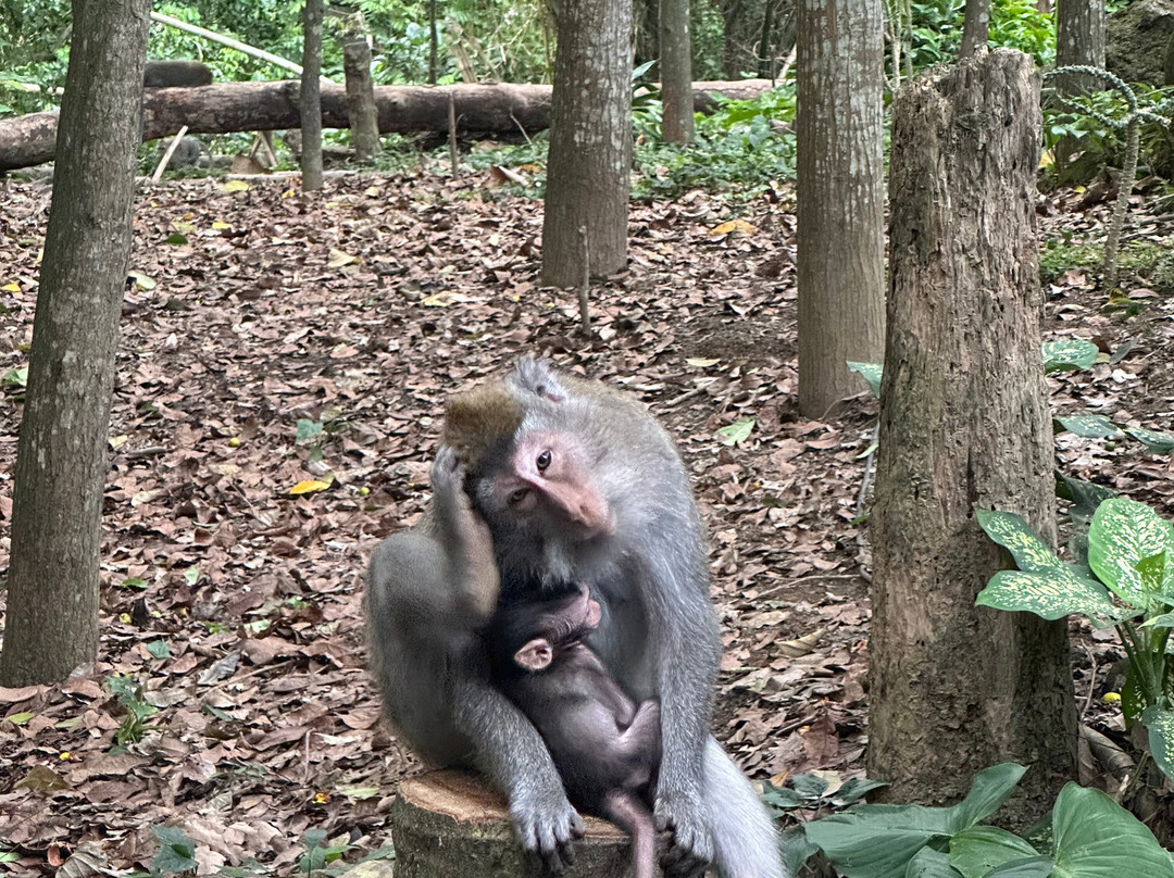 Bali Brother Tour-登巴萨必去景点