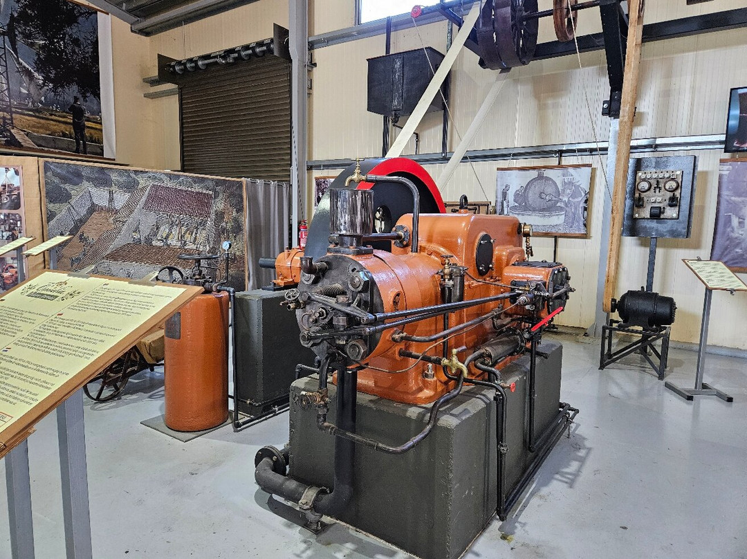 Omalia Olive Press-马利亚必去景点