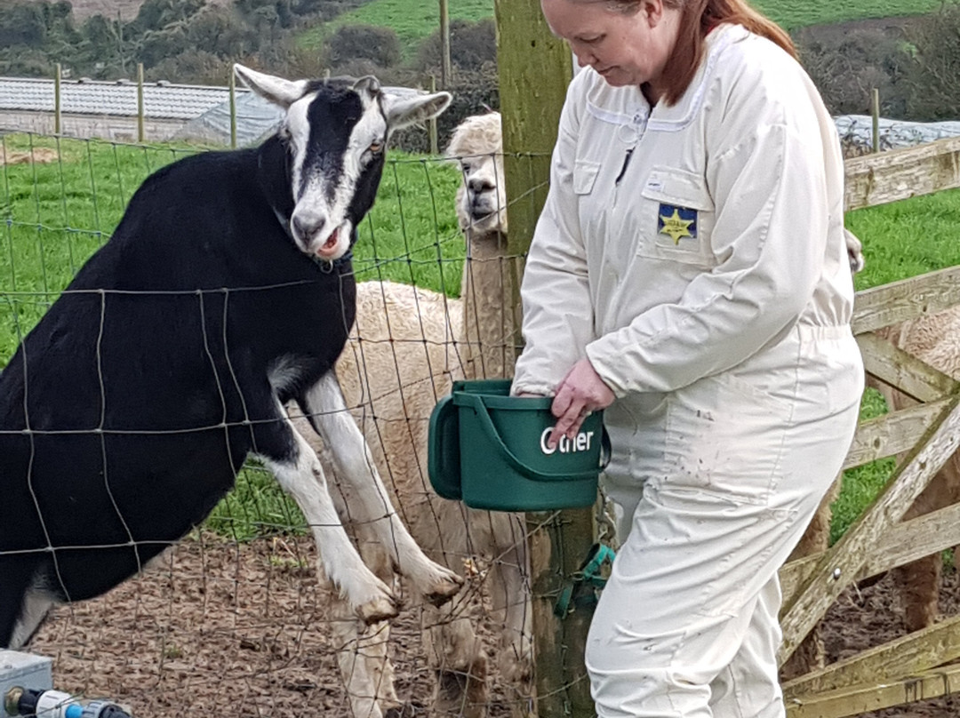 Frampton Farm景点图片