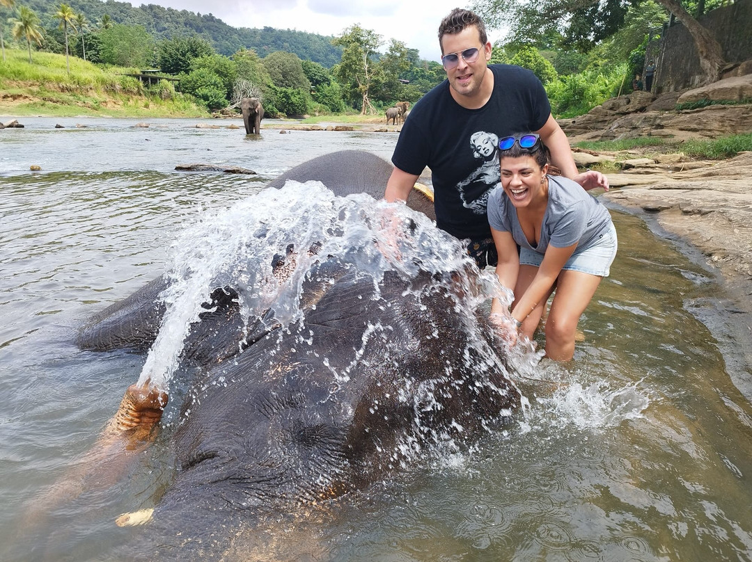 Hotel Pinnalanda主图