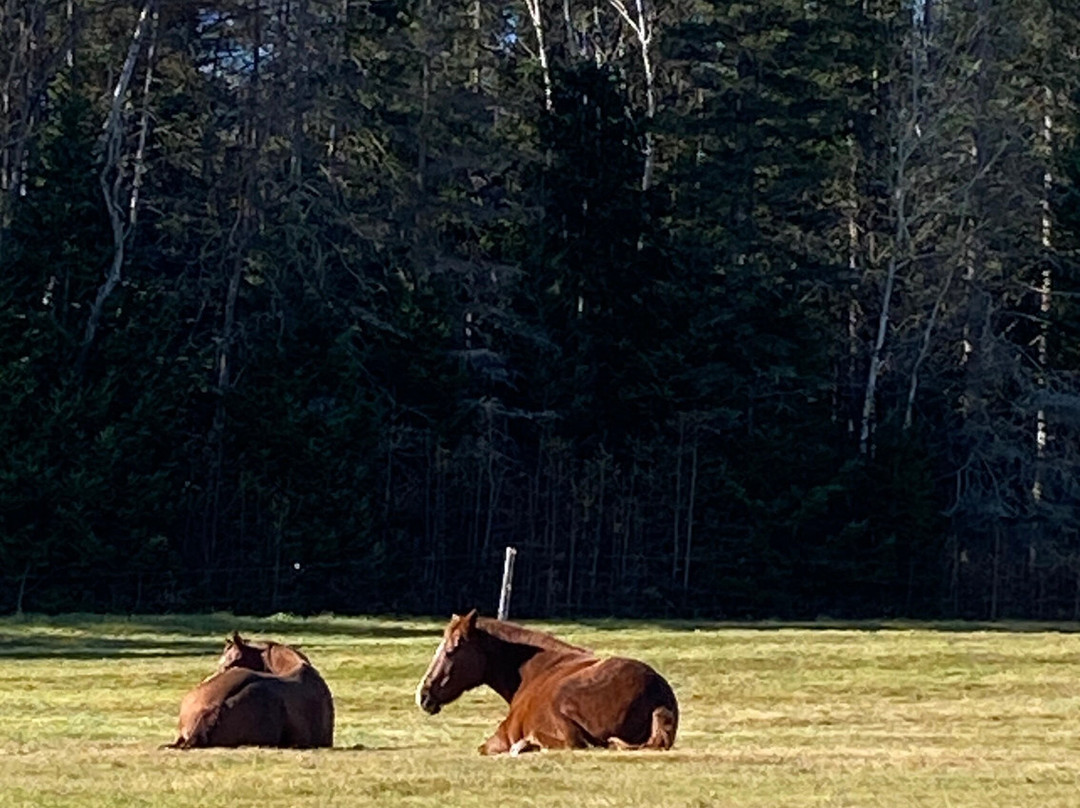 The Inn At Oxbow Acres主图