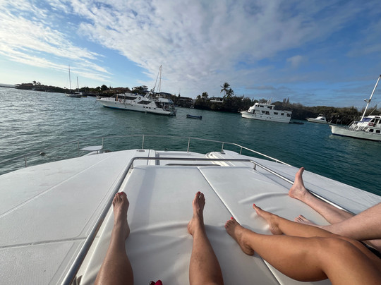 Galapagos Elements-阿约拉港必去景点