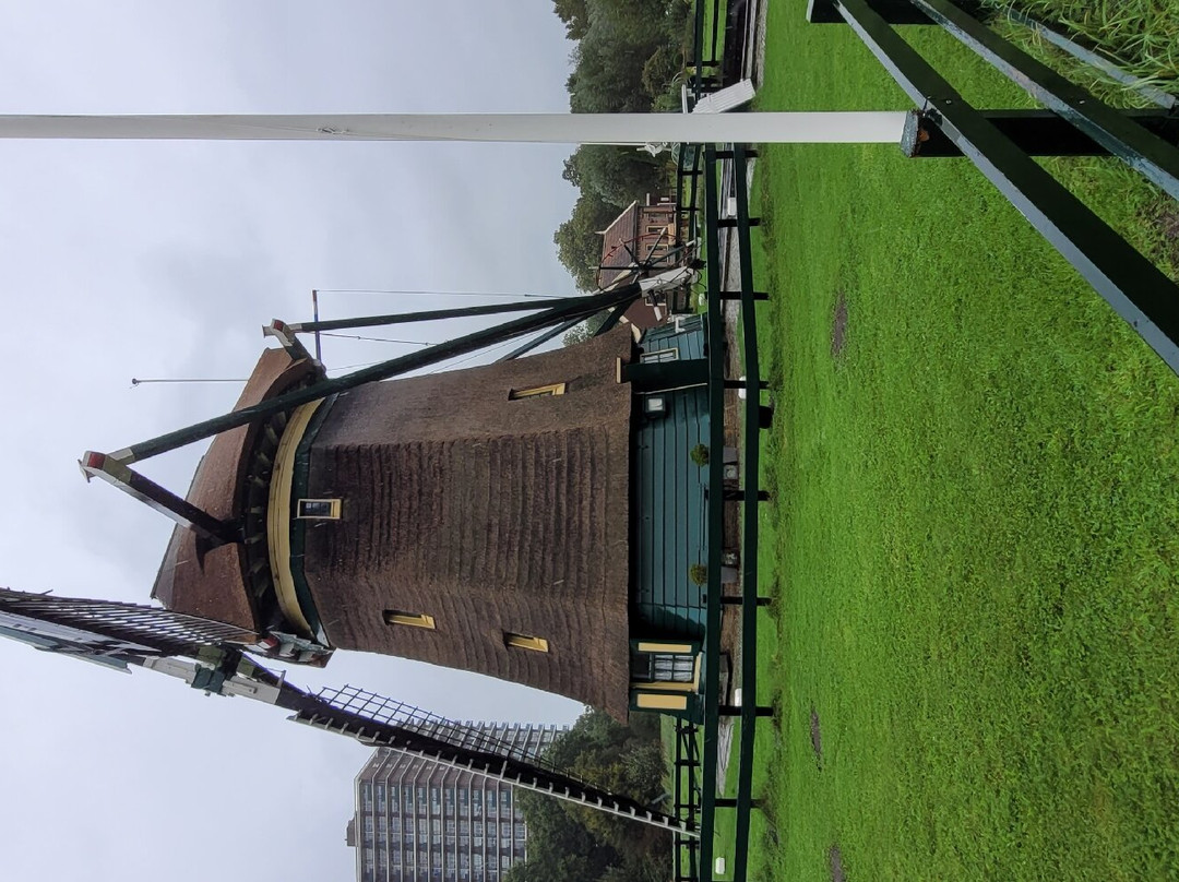 Museummolen de Walvisch景点图片
