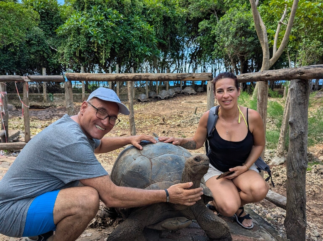 Ztrans Taxi Zanzibar-桑给巴尔市必去景点