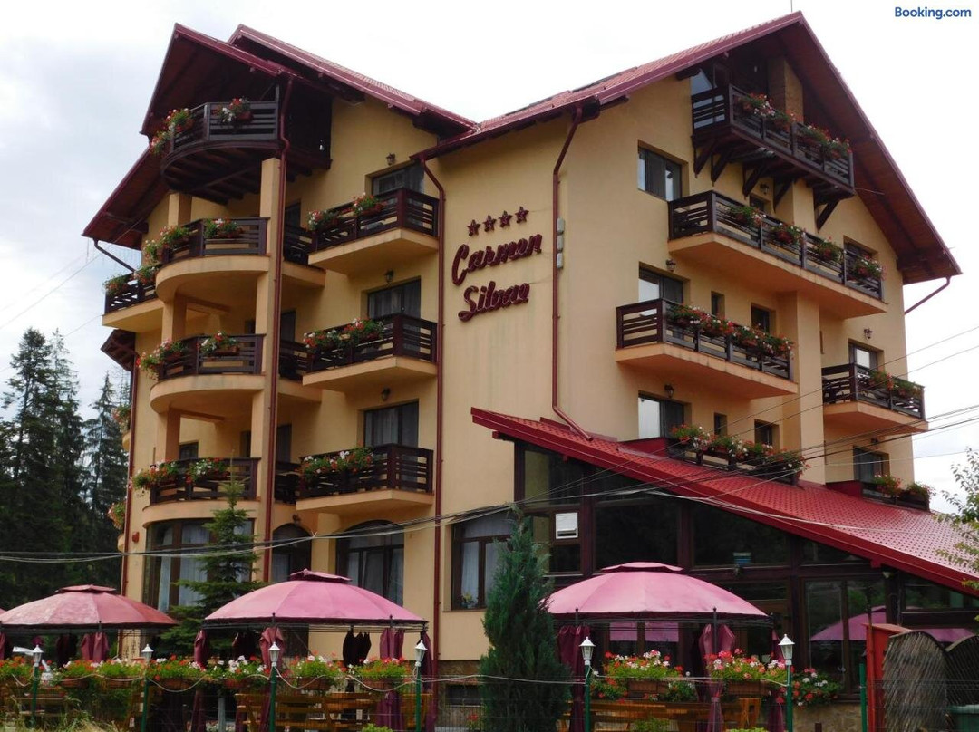 Pensiunea Carmen Silvae主图