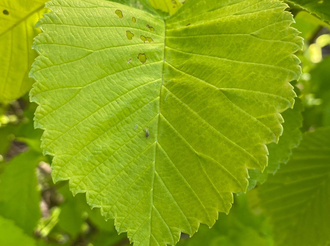 Jetty Road Adventure Playground-Clifton Springs必去景点