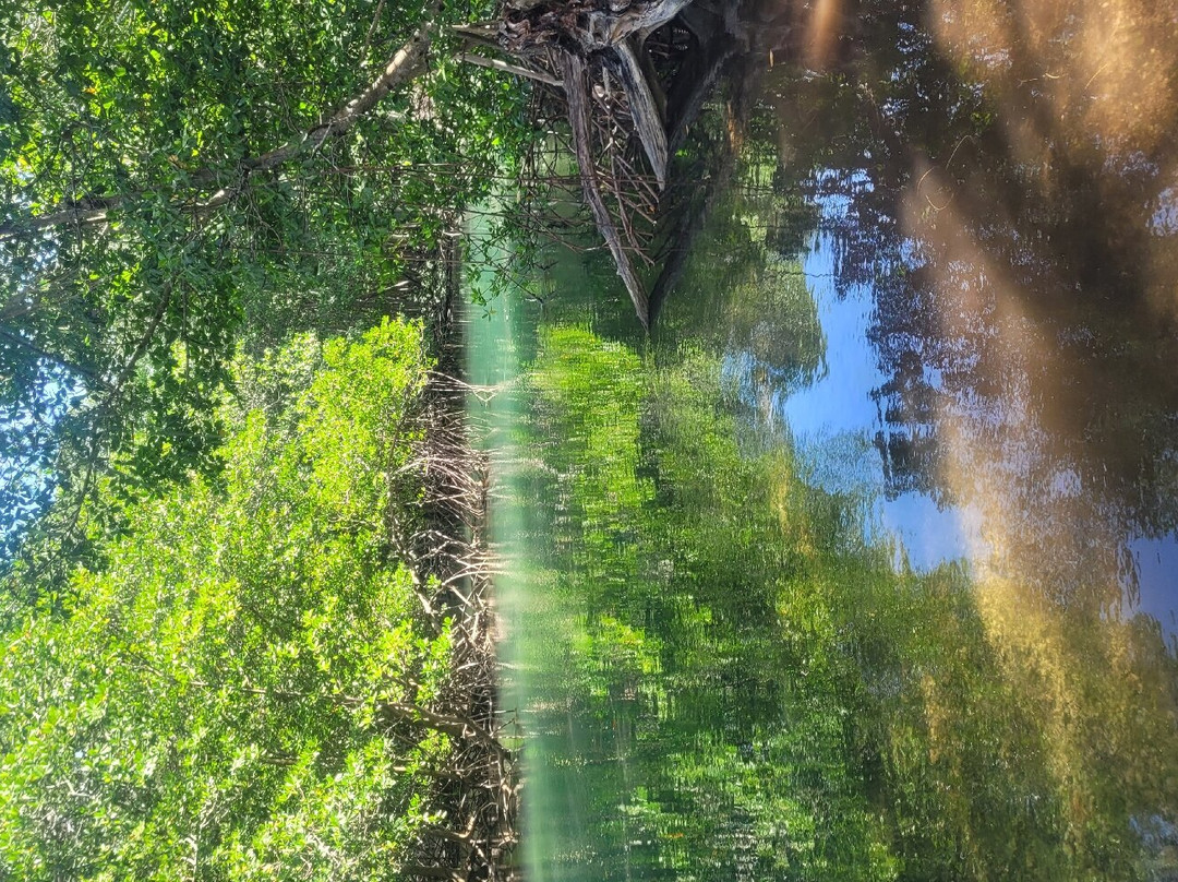 So Flo Water Adventures-迈阿密必去景点