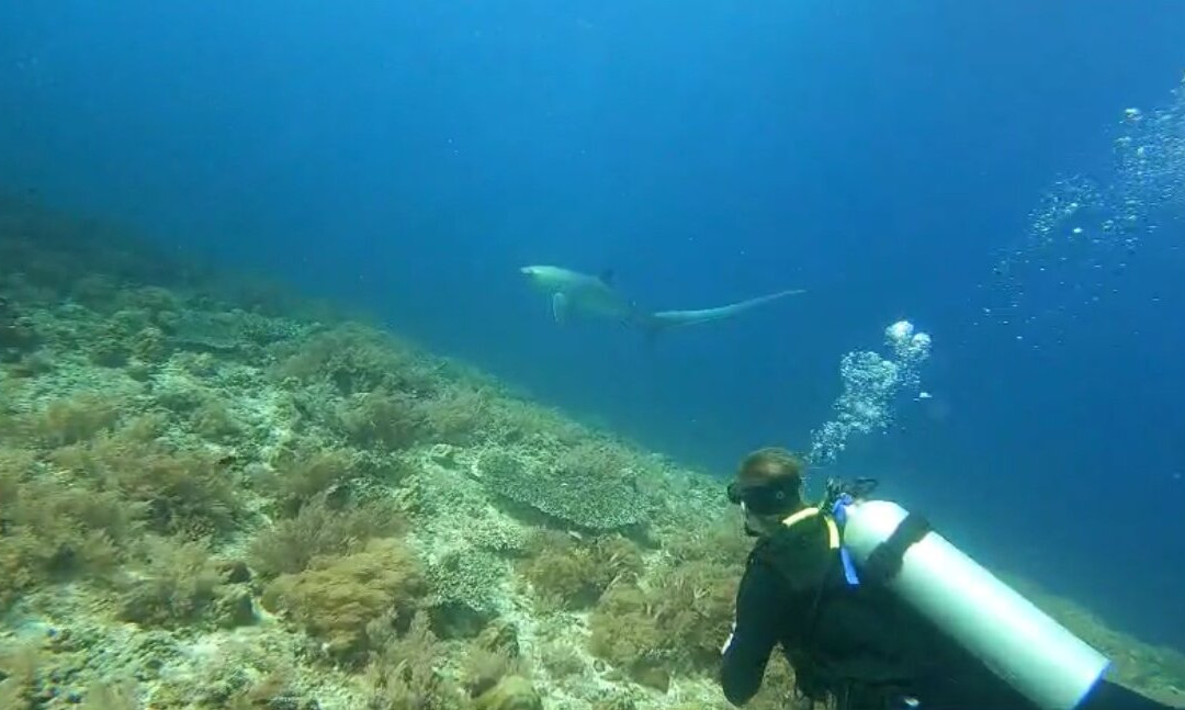 Mbi Divecenter景点图片