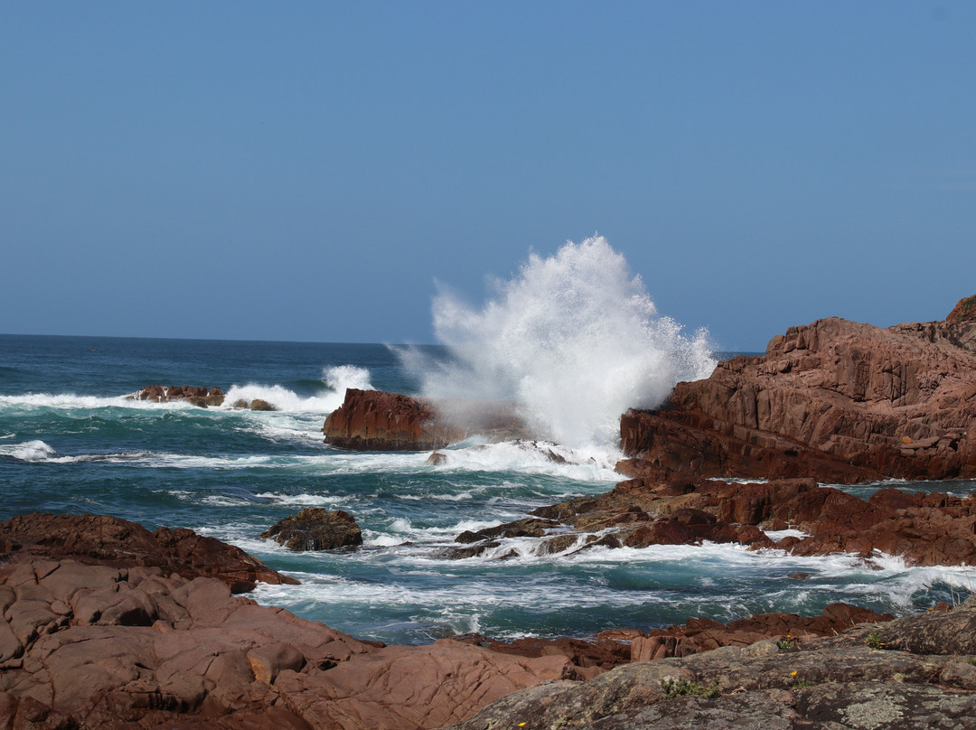 Salamander Bay Bed and Breakfast主图
