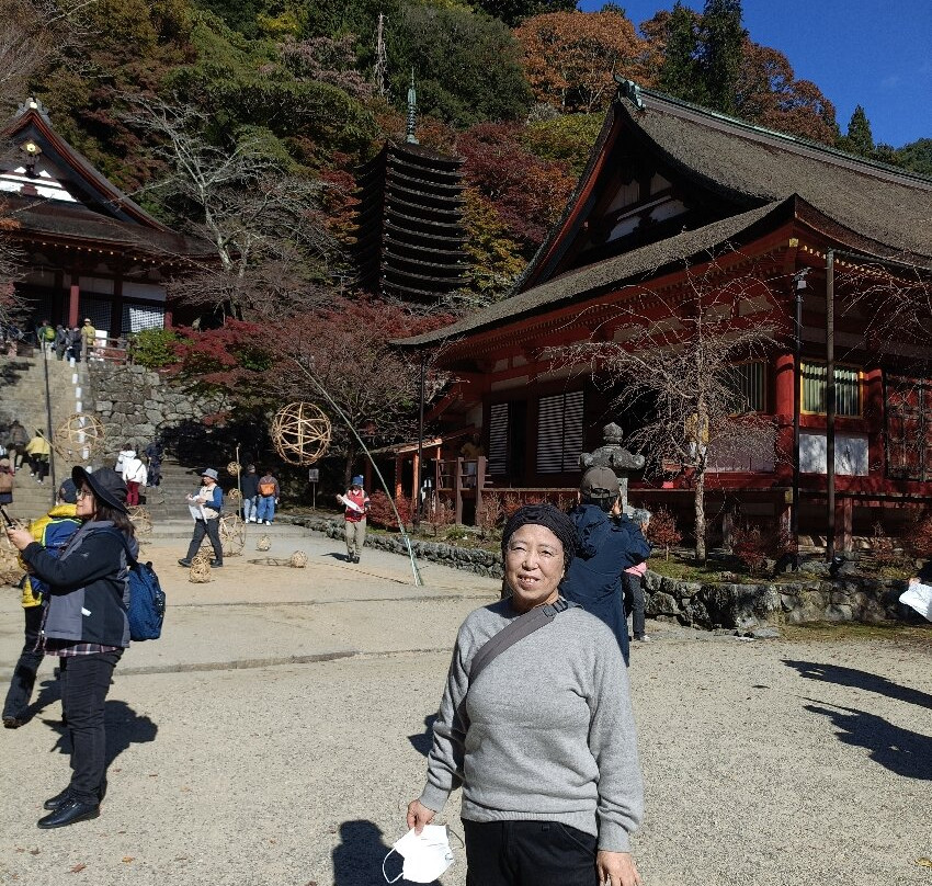 Tanzan Shrine景点图片