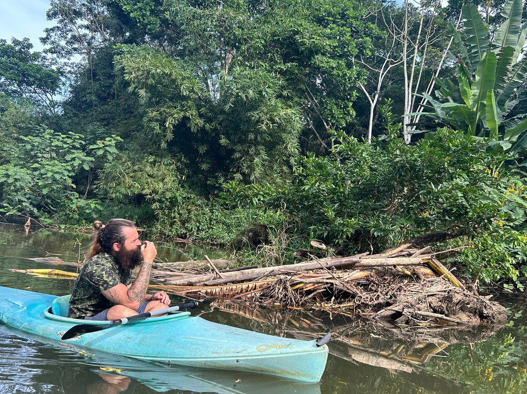 Cahuita Experience Surf School景点图片
