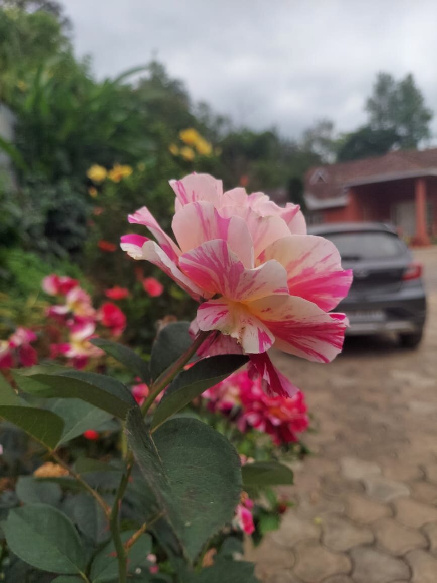 Gubbachi Goodu Home Stay-官方