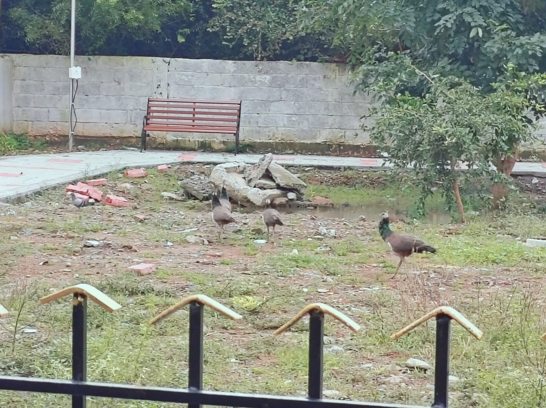 Hotel NKC Airport主图