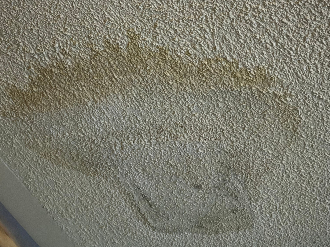 Days Inn by Wyndham Dahlonega主图