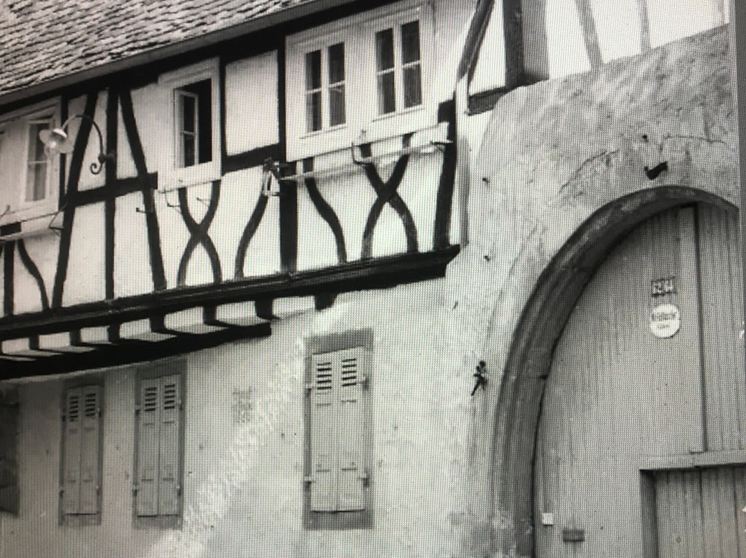 Haus Fleschütz-巴特迪克海姆必去景点