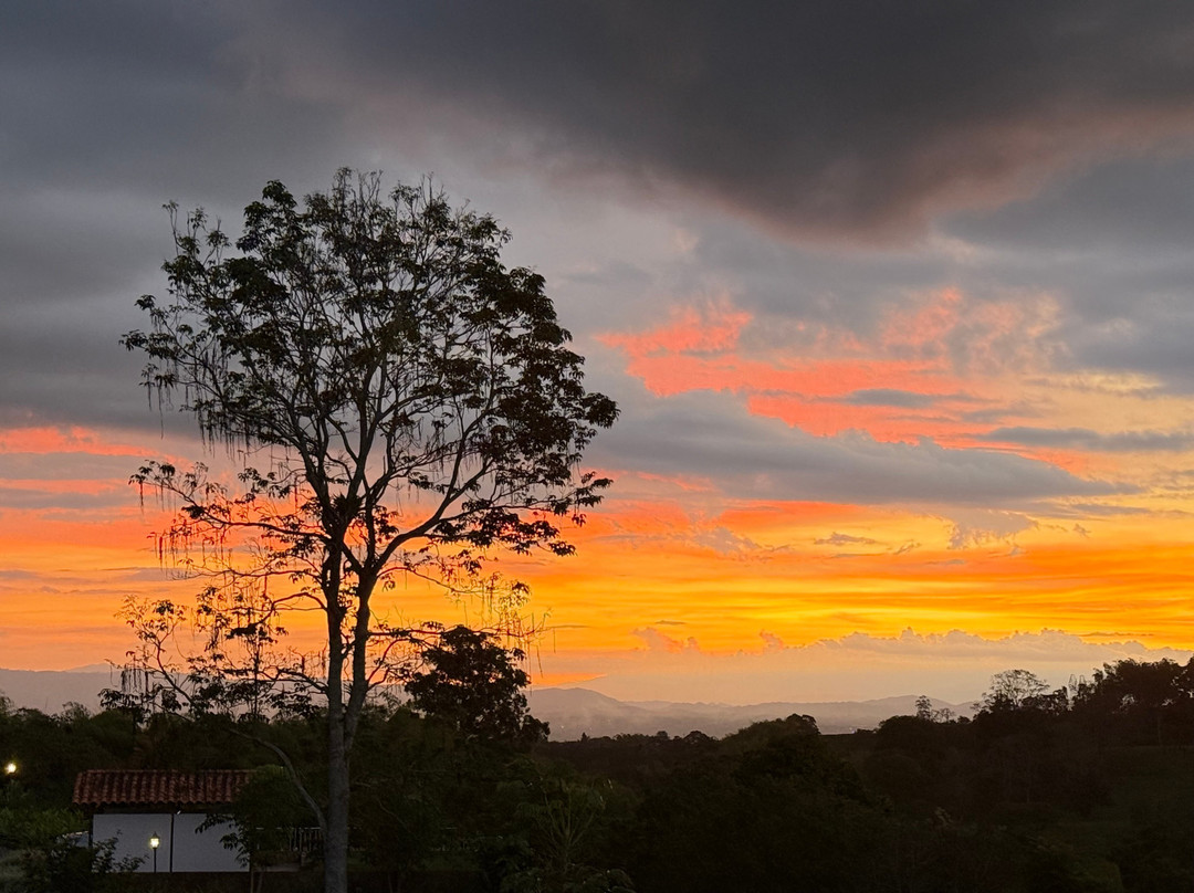 Hotel Estrella del Monte主图