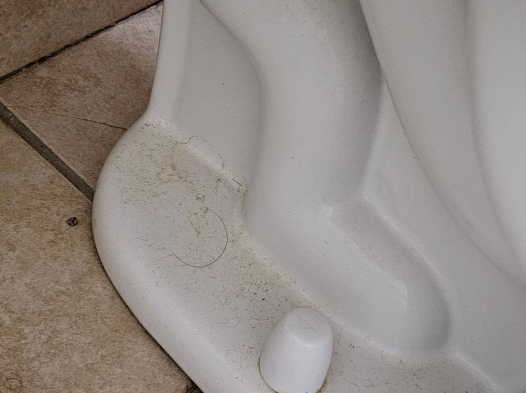 Super 8 by Wyndham Clear Lake主图