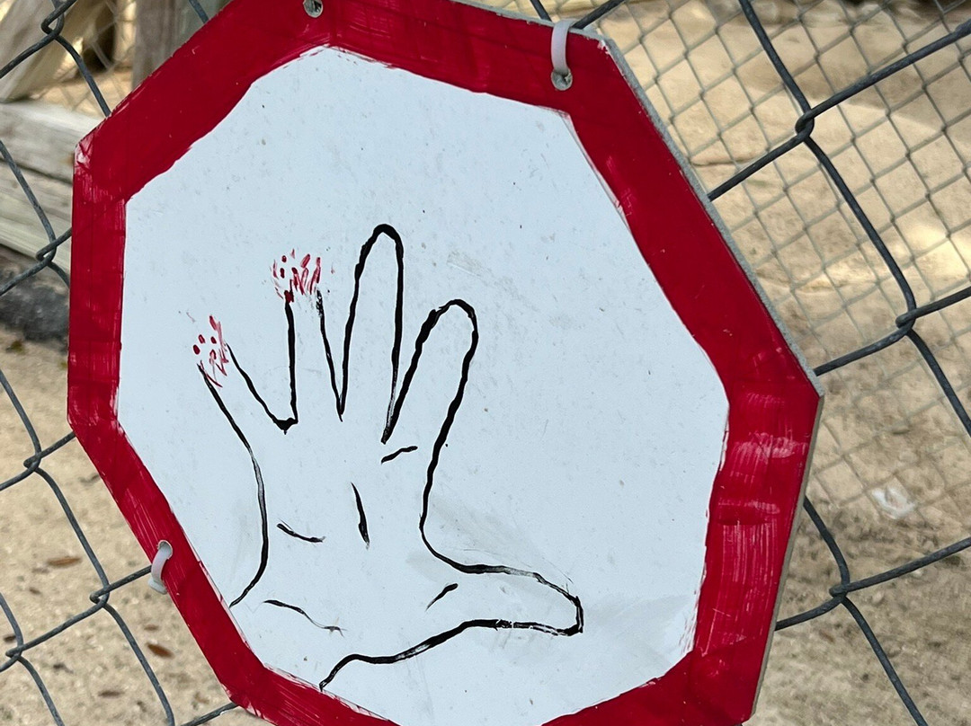 Octagon Wildlife Sanctuary-蓬塔戈尔达必去景点