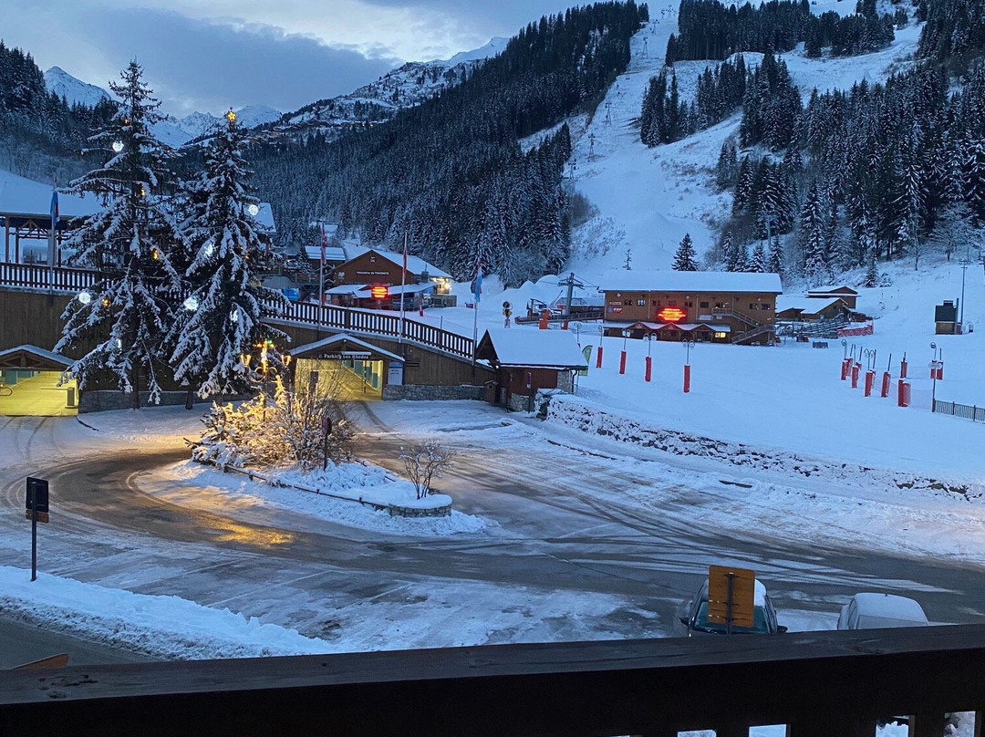 Hotel Les Grangettes主图