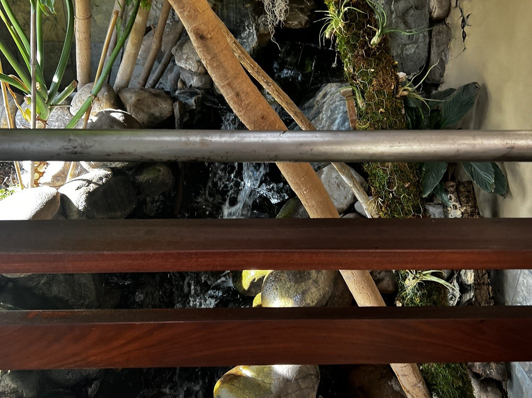 Ten Thousand Waves主图