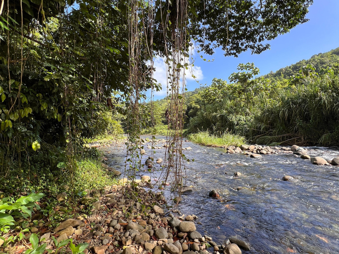 Hibiscus Valley Inn主图