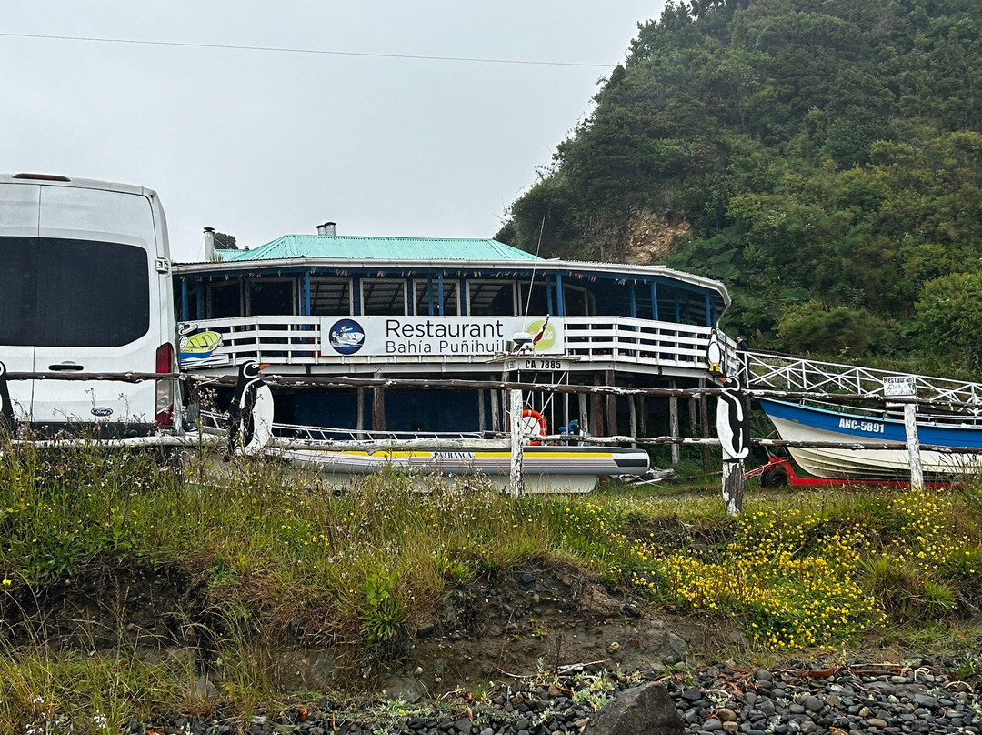 Islotes de Punihuil-奇洛埃岛必去景点