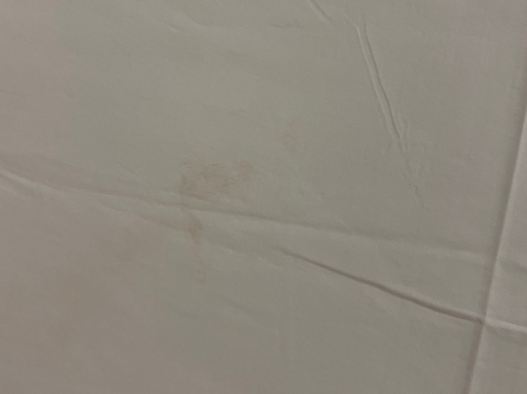 Welcomhotel By ITC Hotels - Kences Palm Beach主图