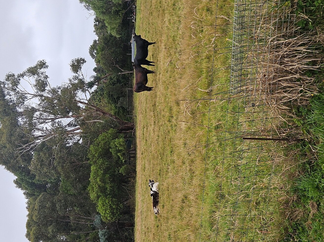 托洛奇汽车旅馆主图