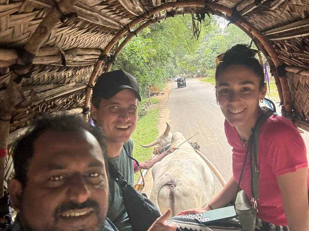 Sri Lanka Paradise Tours景点图片