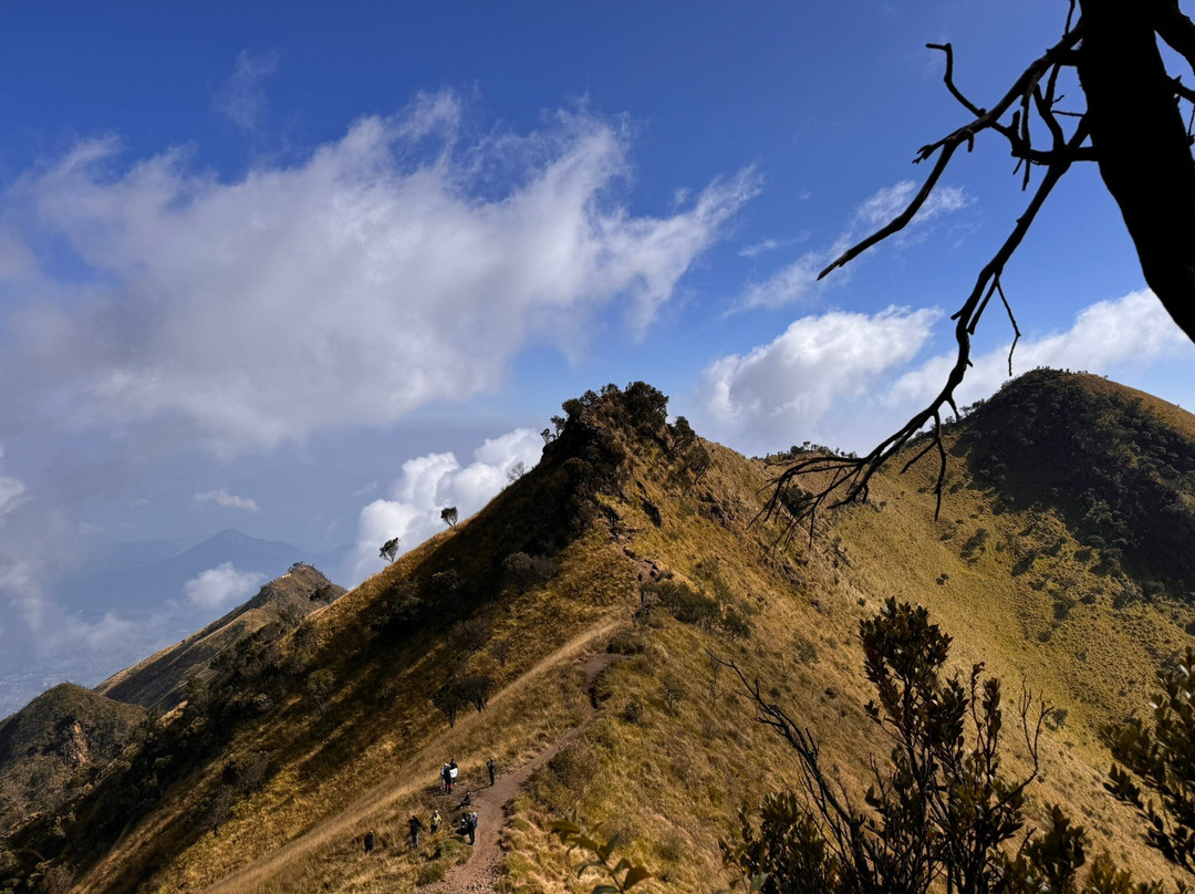 Mount Merbabu景点图片