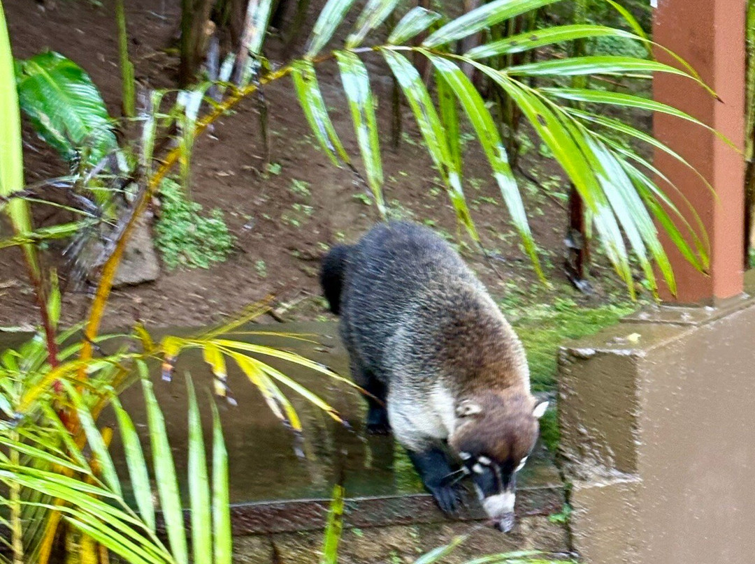 Hotel Trapp Family.主图