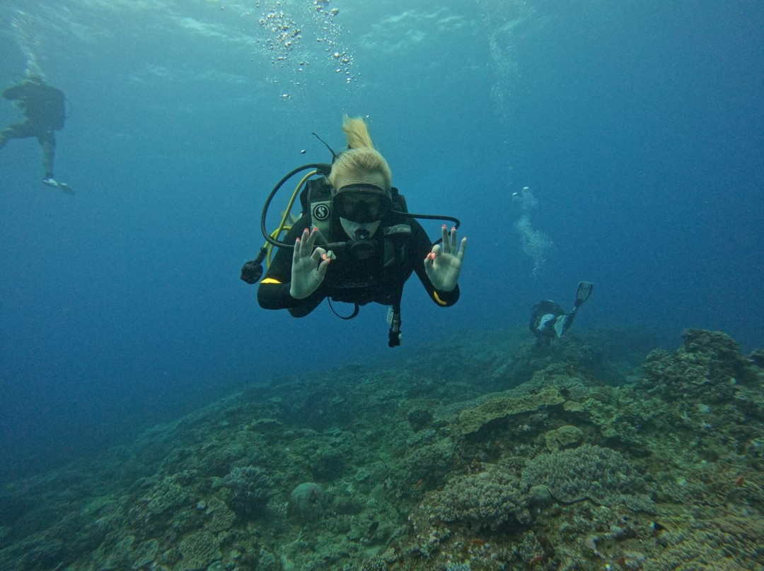 Pisces Diving Sodwana Bay-索德瓦纳必去景点