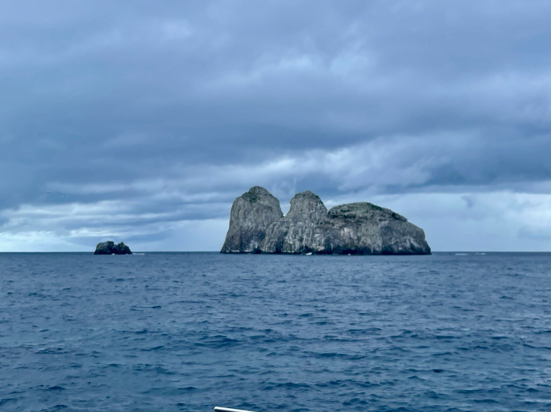 Malpelo Tours-Malpelo Island必去景点