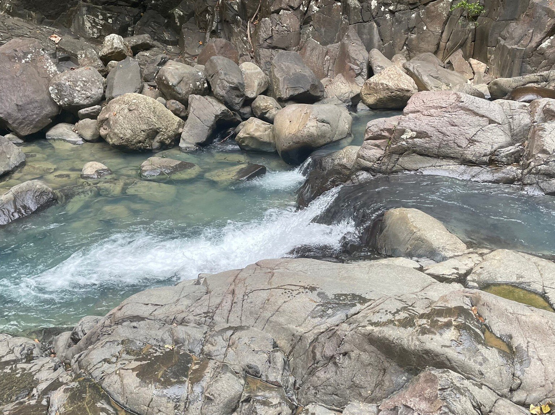 Cascade Le Saut de L'Acomat-Pointe-Noire必去景点