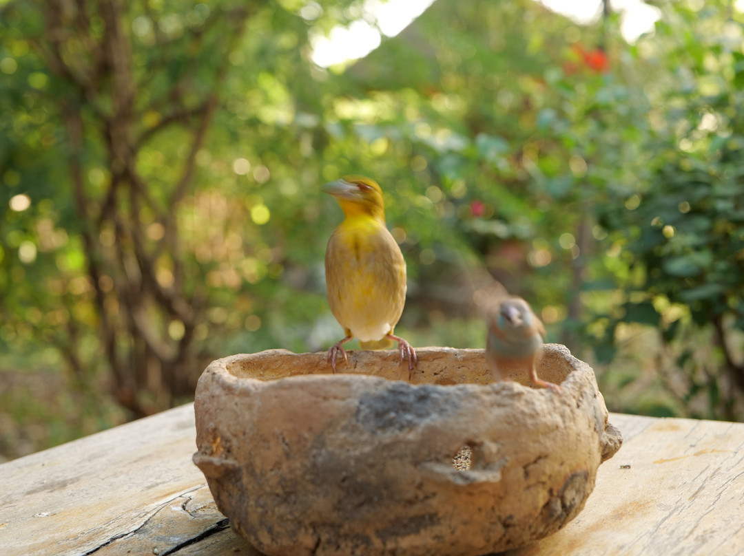 Keur Niaye Maison d'Hotes主图