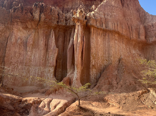 Kenya Classic Tour Travel-瓦塔木必去景点